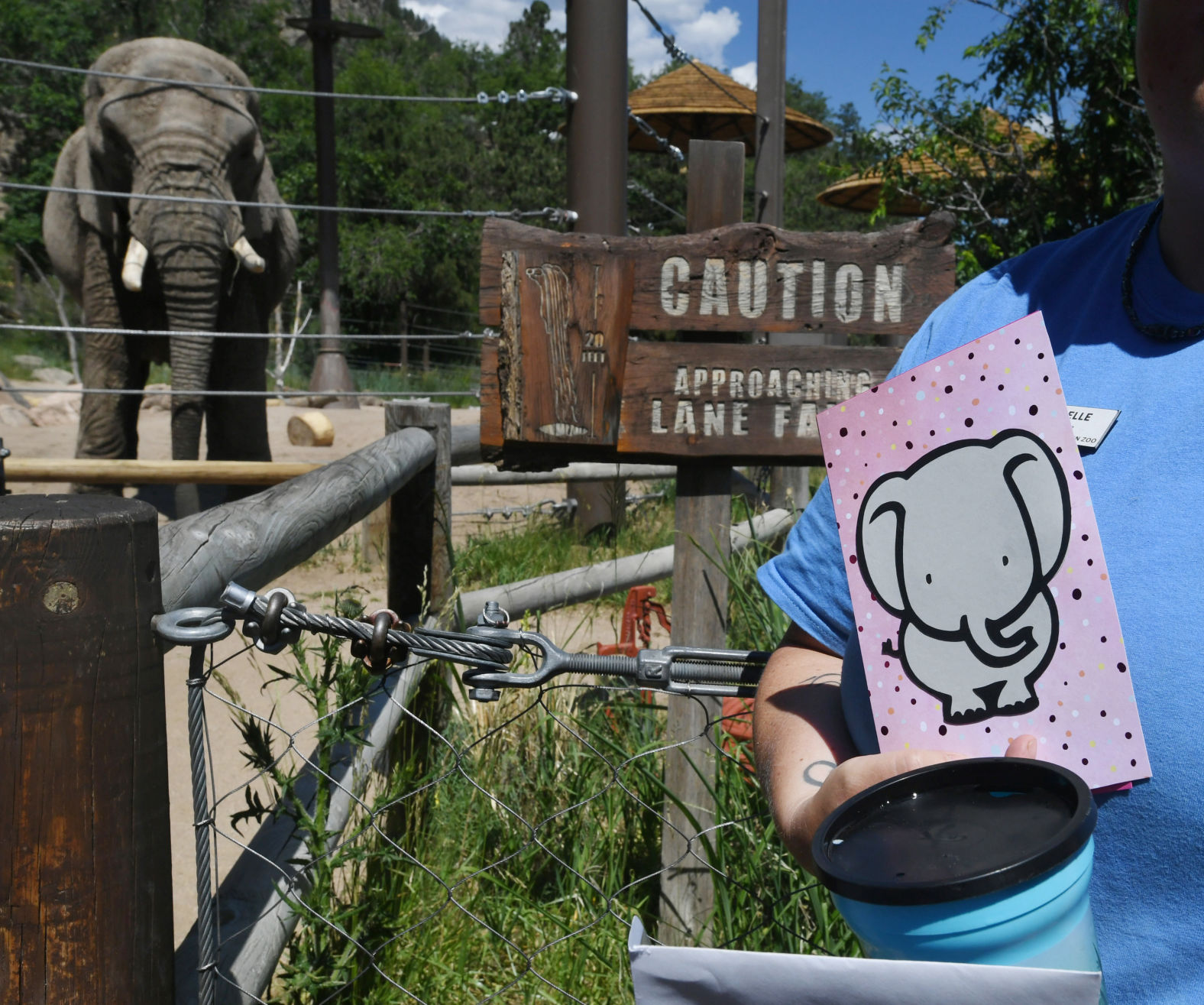 070119-news-elephant 25.JPG